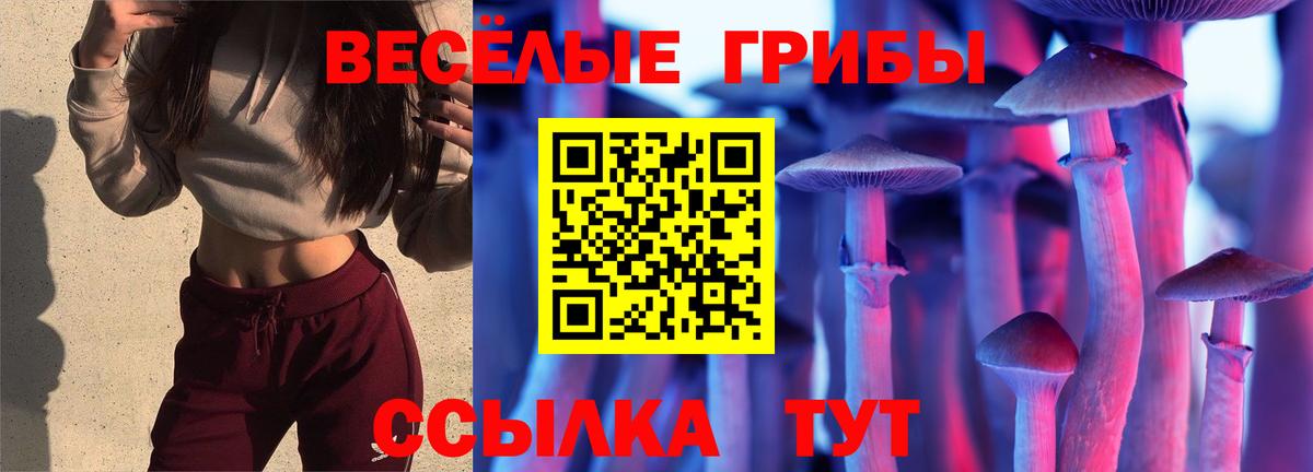 Псилоцибиновые грибы мухоморы Кировск
