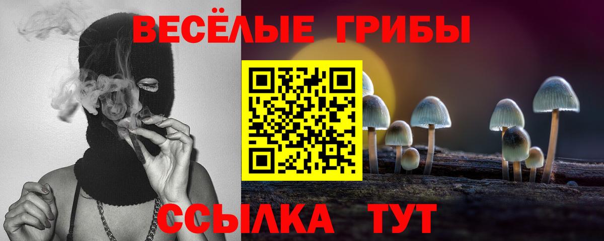 Галлюциногенные грибы Cubensis  Вход с VPN  Кировск 
